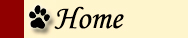 Home-Button