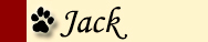 Jack-Button
