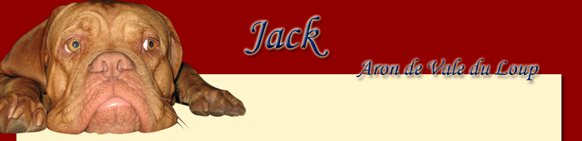 Head-Grafik BX Jack