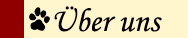 Ueberuns-Button