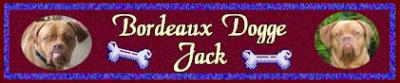 Unser Banner